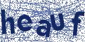Image with security code embedded in it